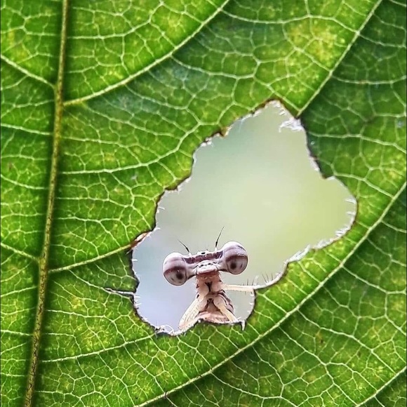 Meet your Posher, Claudia - Picture 1 of 1